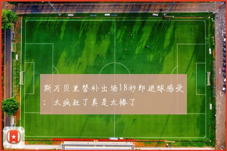 斯万贝里替补出场18秒即进球感受：太疯狂了真是太棒了