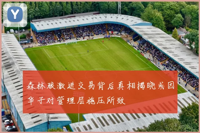 森林狼激进交易背后真相揭晓或因华子对管理层施压所致